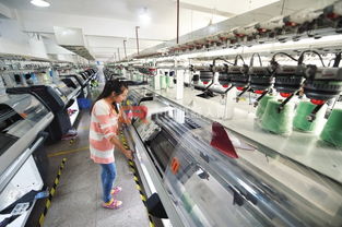 機器來了，人去哪了？——機器換人進程中的臺州鞋業產業工人現狀調查