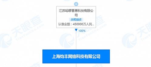 哈啰出行關聯公司注冊資本增至45億人民幣，信息系統集成服務成發展新引擎
